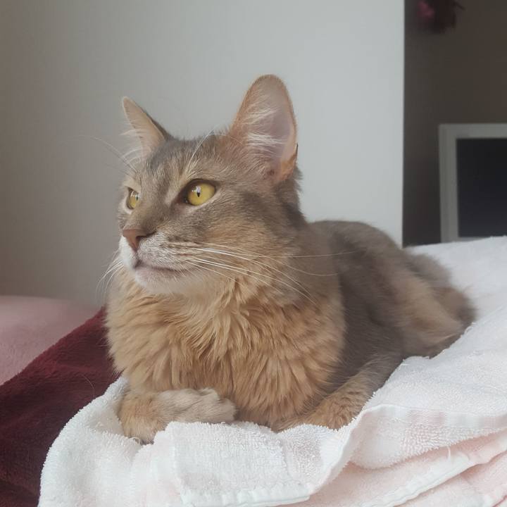 598564d5 59cb 4d32 810e 3fb928ff3b08 1588145989499