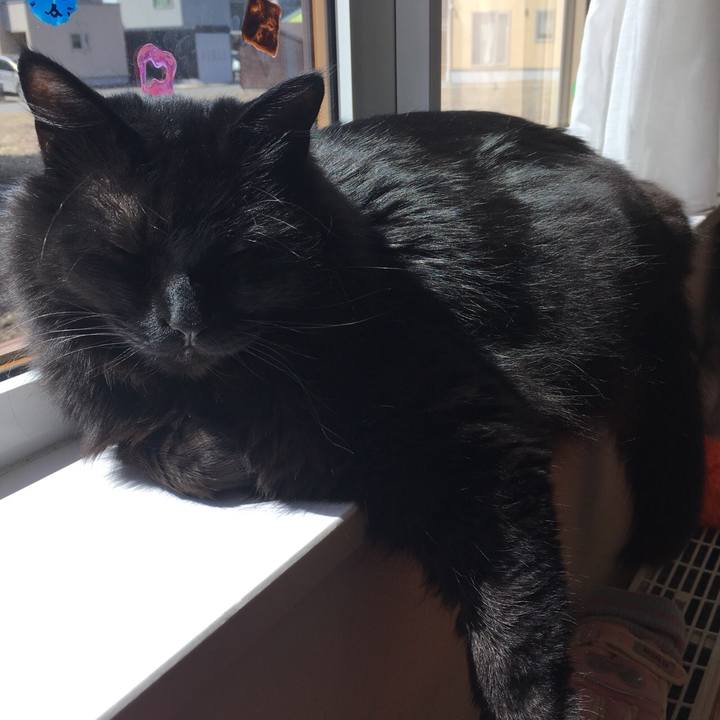 598567a7 3722 4050 b651 4c813e90e5b0 1522909599157