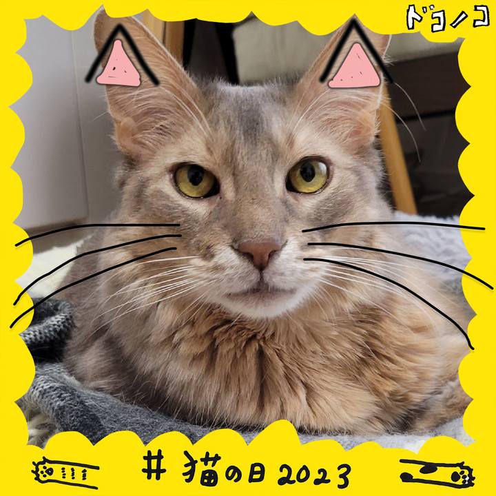 5985be2a eafd 4885 99b4 17edd3e429ab 1677021894673