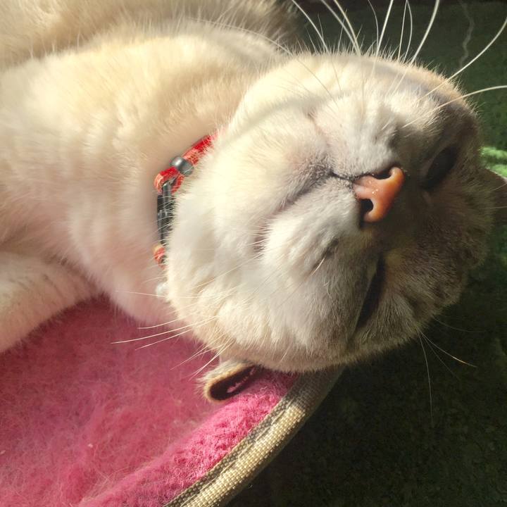 5986265d e4ae 4af8 af3c fbc8d15bb773 1575952138860