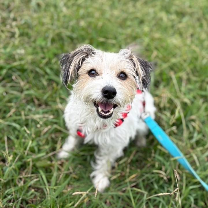 59865c9b d554 4c6c 8e57 8883a5d208ba 1761966457775