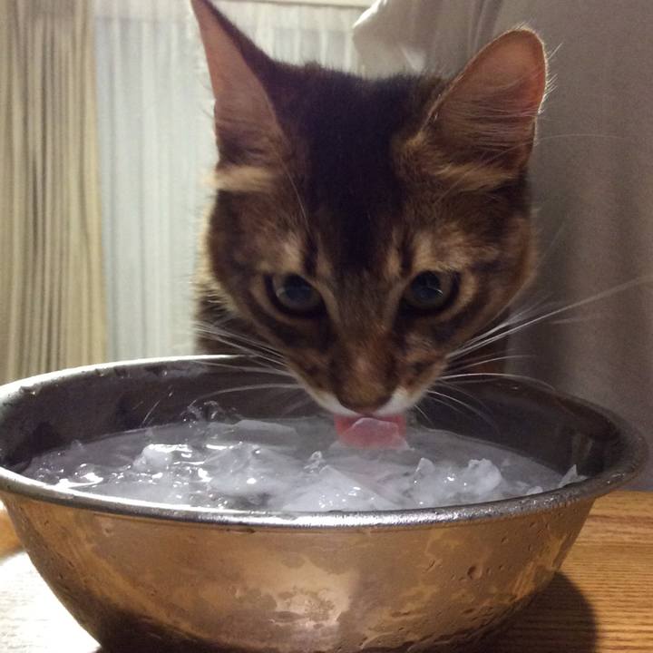 59867411 2d7b 489c 938b baec8ec4d7d7 1565703875181