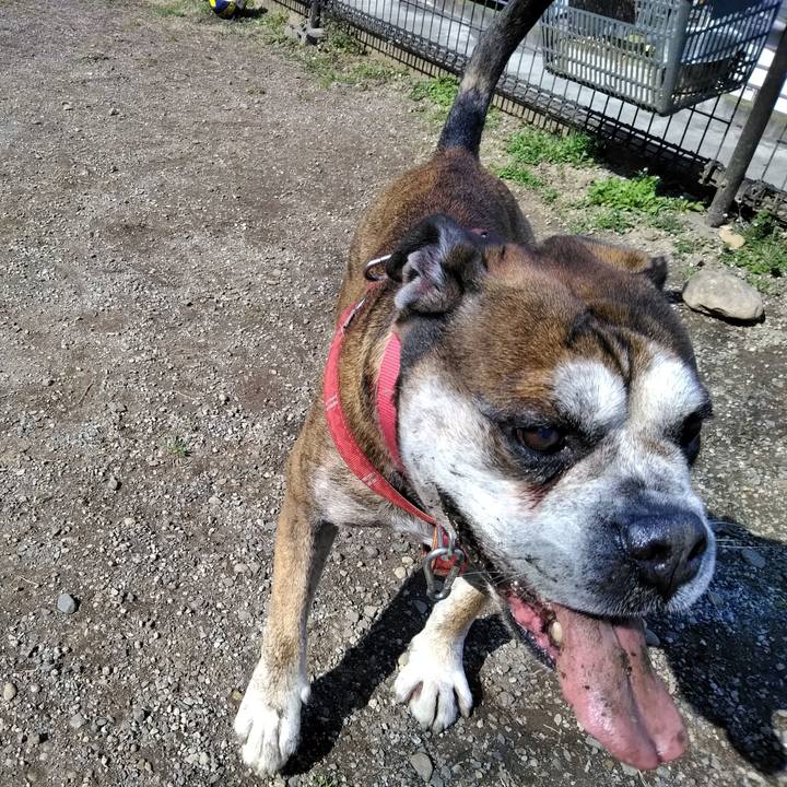 59867dbf c4ca 4d0a 912f 78b338ea5c5d 1552783355754