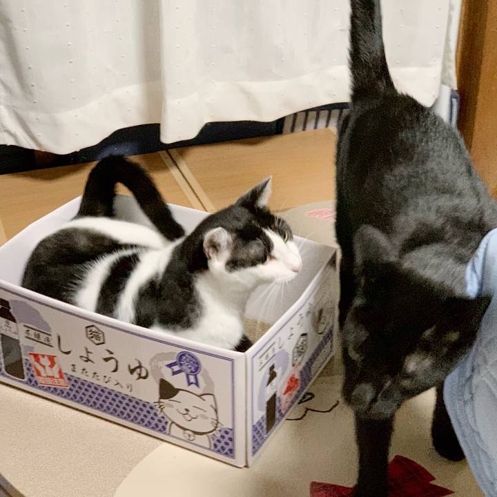 59869753 a70f 4732 b747 7871f6172650 1540260337626