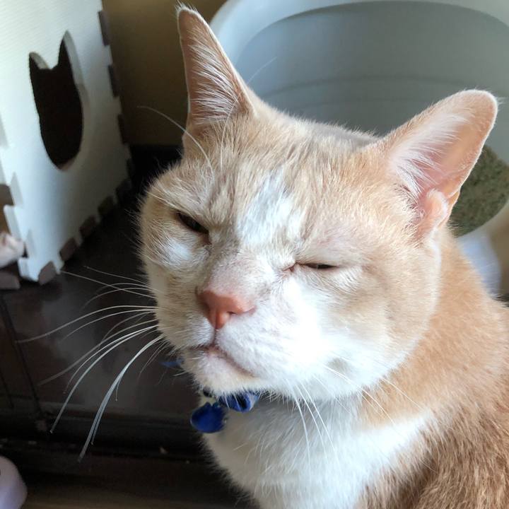 5986ab26 dbd8 4eb0 9a3e e717a0fe0994 1549961046868