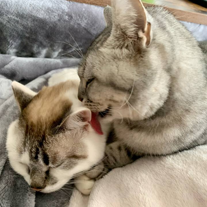 5986afaf 0651 4cd1 a0fd 3a6dba2a6d89 1677288697236