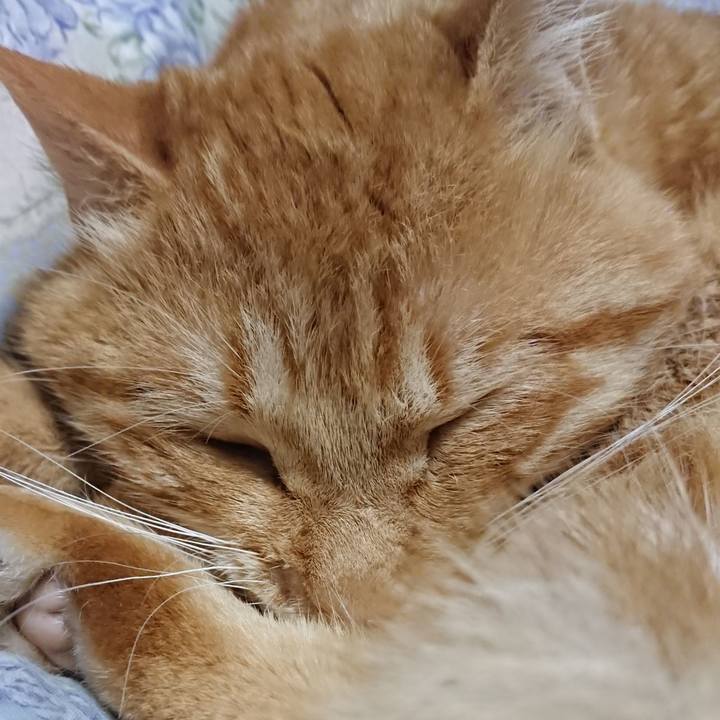 5986f5c0 8d65 446a b6ec 963489c616e2 1654702786504