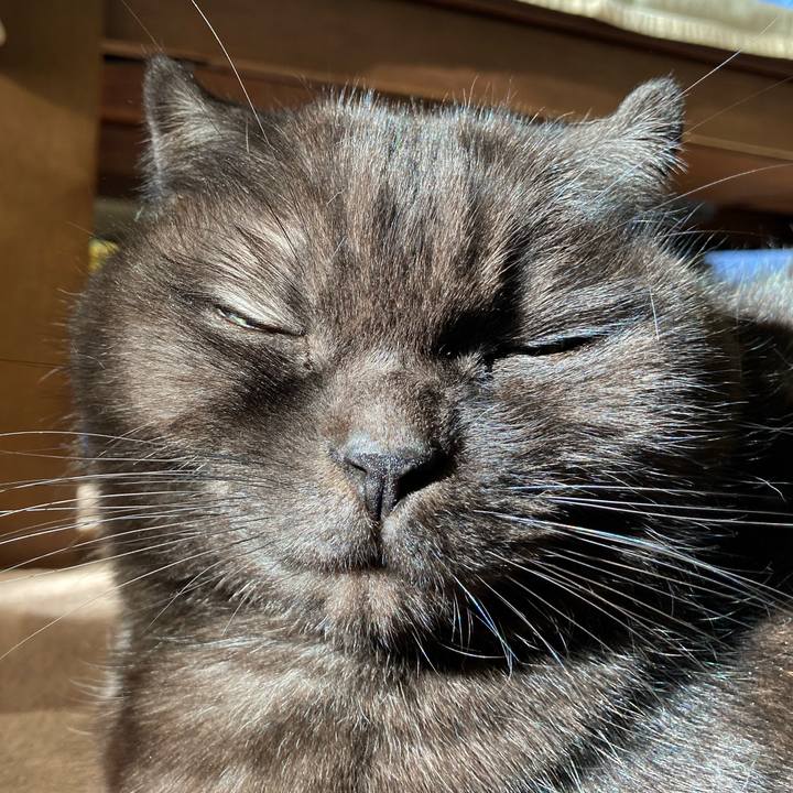 5986f9e8 4904 4e4f 8744 f950f56a04c8 1608689010473