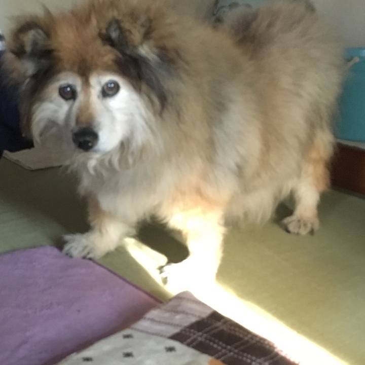 59870466 8817 478f 81ad 94a65350d15f 1586335556864