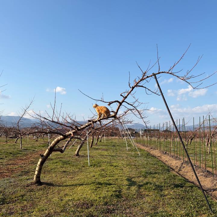 59870d9c 35d7 452d 9042 ea463916b684 1773643499092