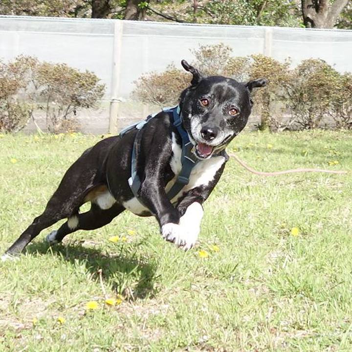 598714da 0c25 462a a8da ae0b20d9a628 1744677314105