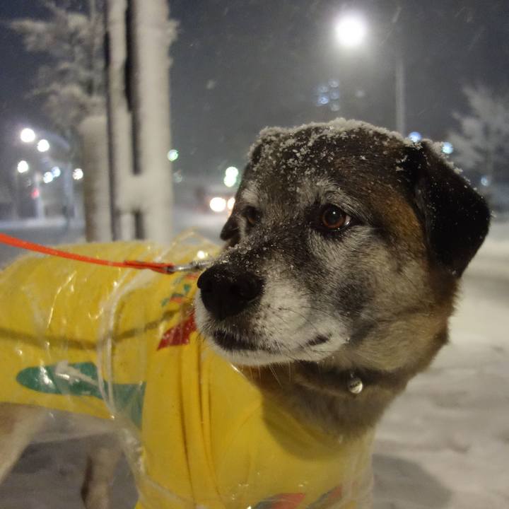 5987218b 3245 4f30 84c1 4b98242bc3fe 1627953823787