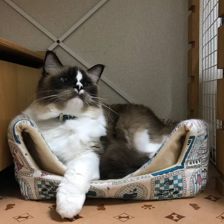 598754db b23e 4715 96d2 e8e2e4543eca 1511959274575