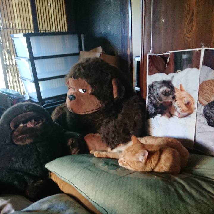 598762c1 bca5 4c14 9934 14ea88dd9e72 1656628201177