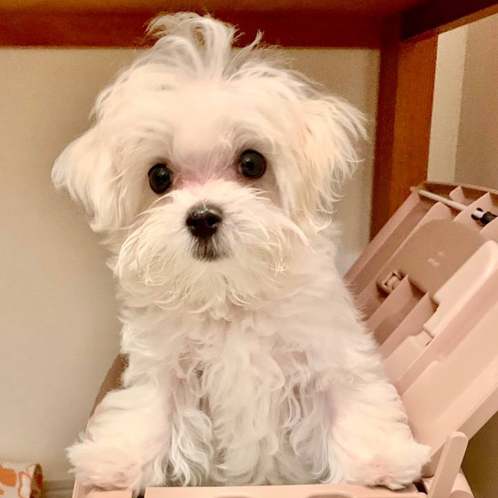 598774e7 d5da 4380 a083 e803d54541bc 1619165746892