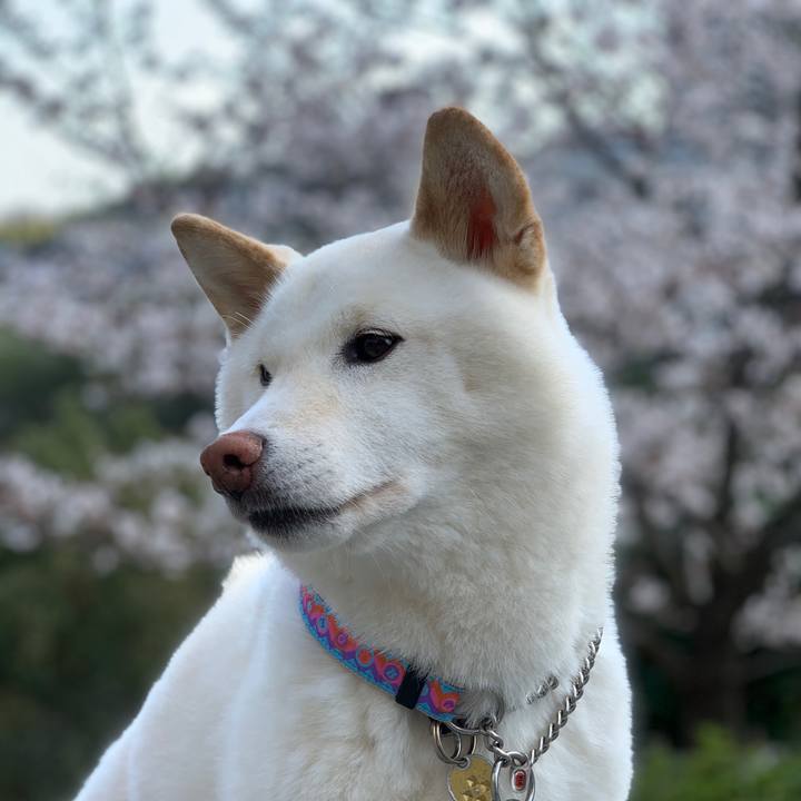 598781f1 ea18 4f62 968c c29ff08d426b 1616671312532