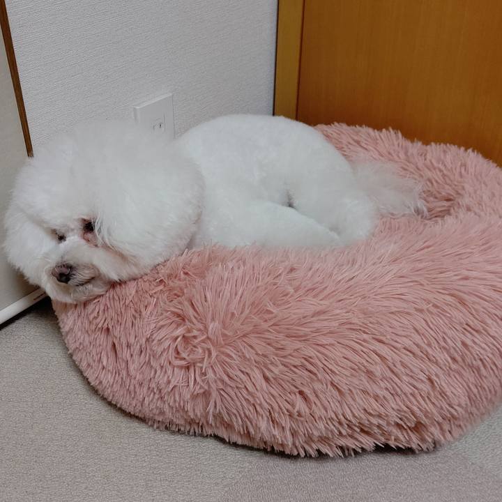 59879b7d 3bb2 4a94 a5b7 518217c23bf7 1704451697571