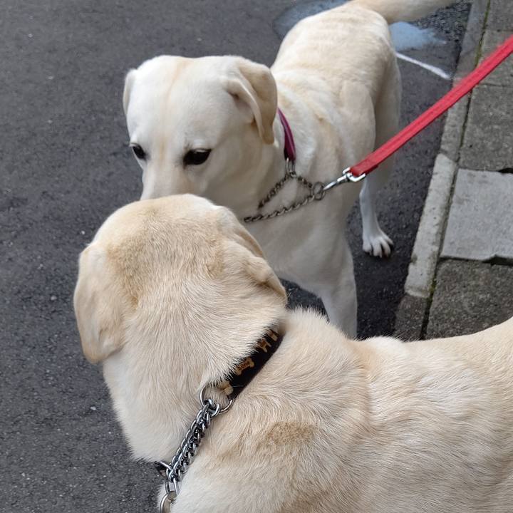 5987bb27 0b5c 4aff b63c beaab7bf1c08 1634347433384