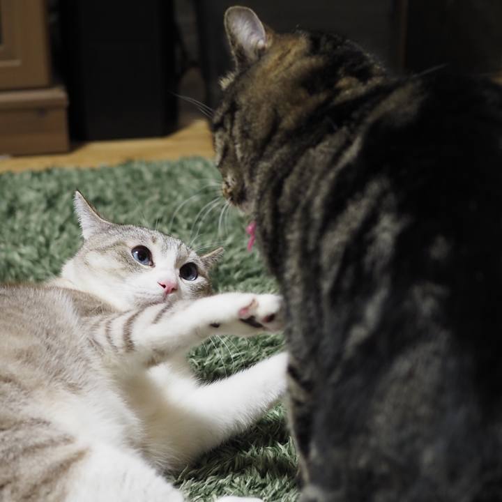 5987caeb 7c88 4f0e b318 7340adea7e80 1643622547286