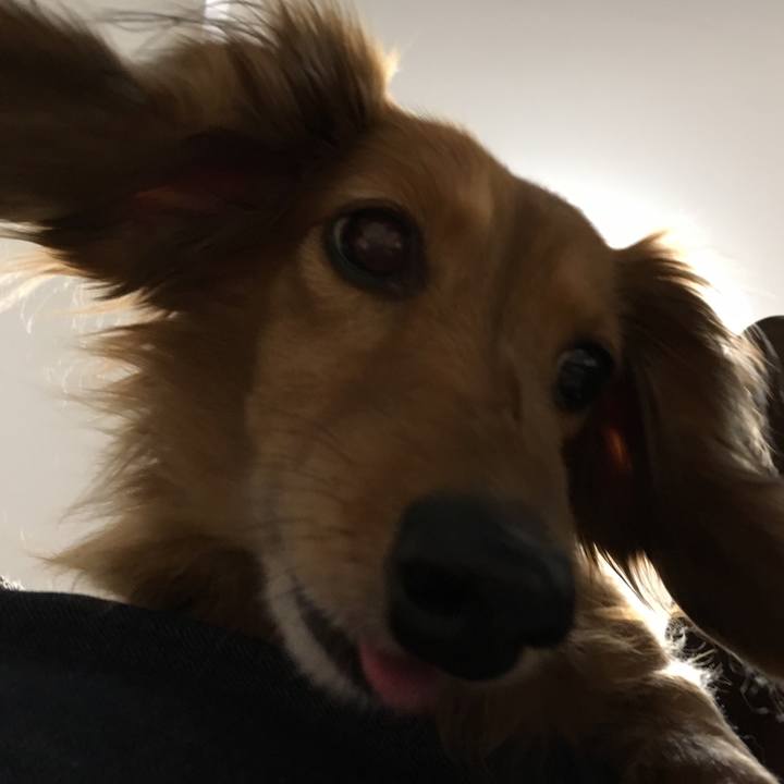 5987d078 4c02 4a58 bfe9 afb7a81c727d 1520068656921