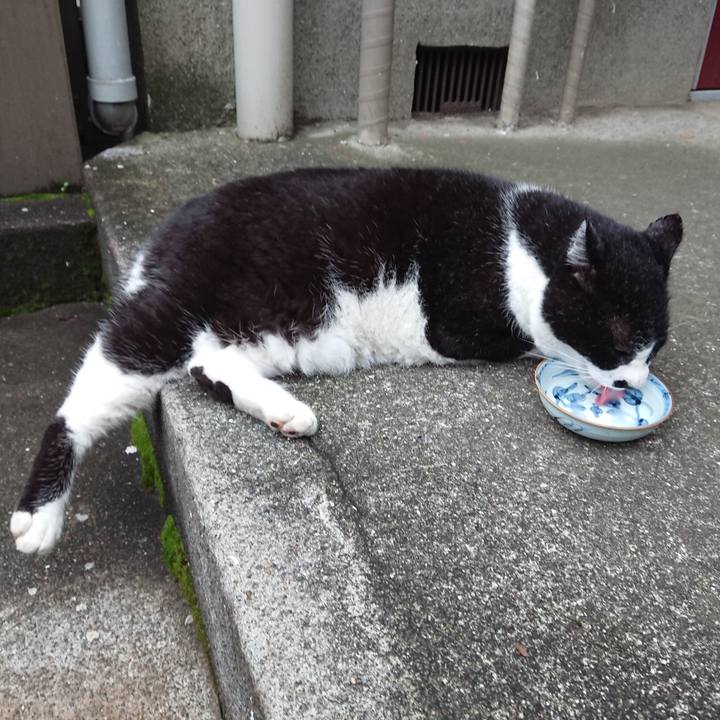 5987da55 2d4e 4685 ab41 34f16f53fbee 1626080128165