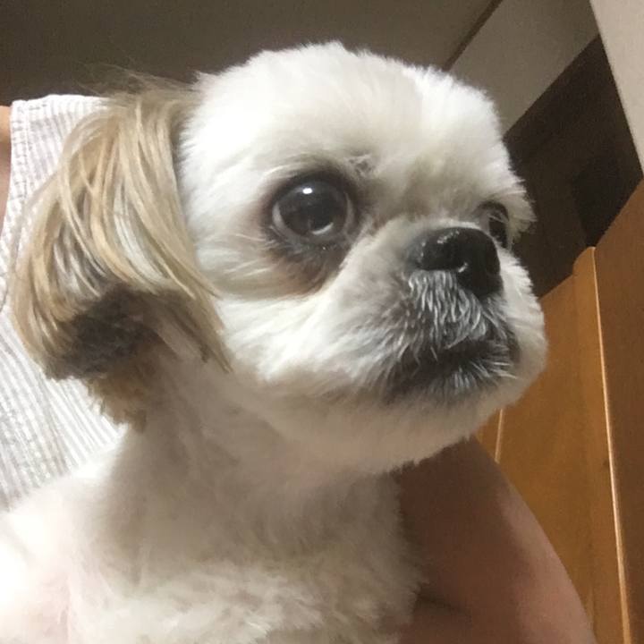 598805ed 0041 456a b652 cf0f6b5fe9bc 1532345370366