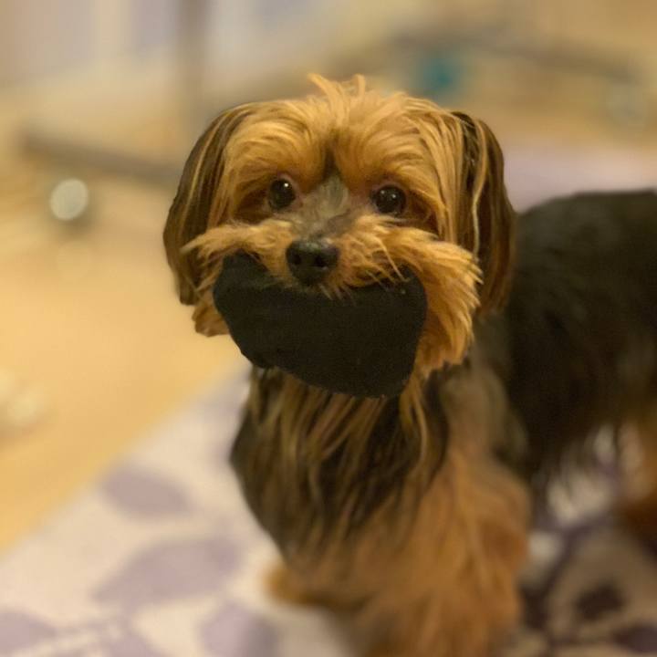 5988060c 1f6a 4890 8a23 631f8a26d1c6 1541323523339