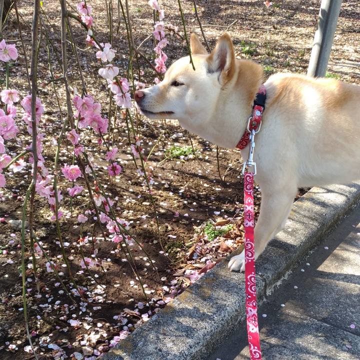 59881009 53f7 41aa b625 e5a01c3239e8 1520859934548