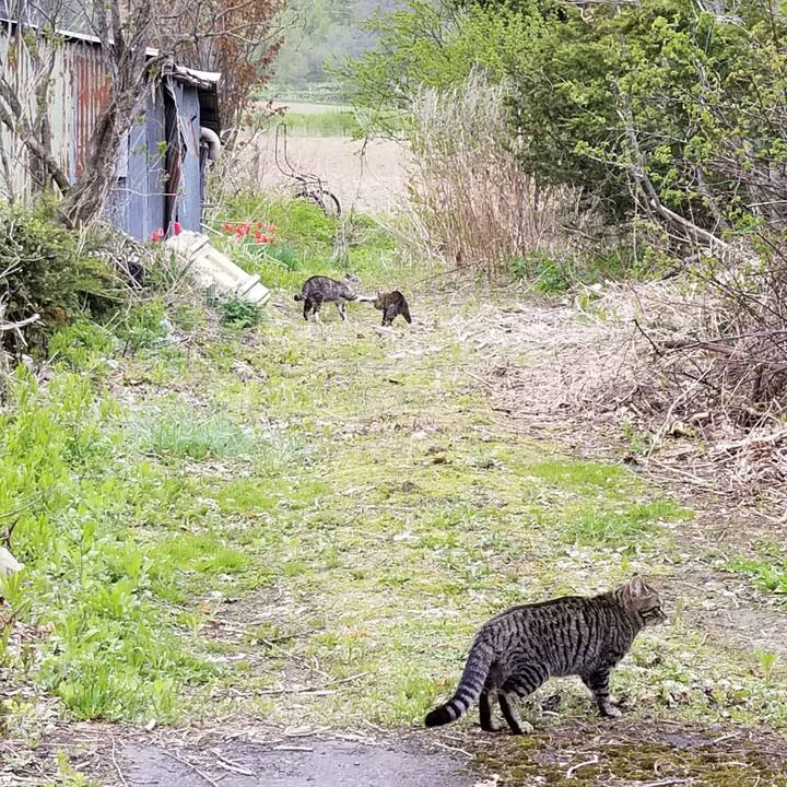 59883110 9839 4987 86ea 7d4974ec4686 1589978170551