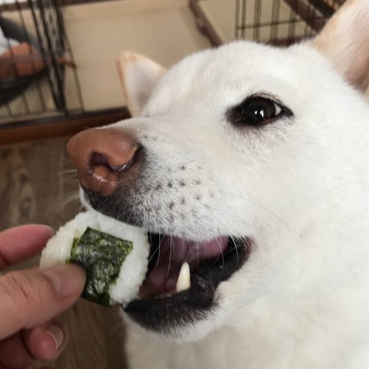 59885049 3835 4ed4 8c13 008c98fa4afb 1521178206683