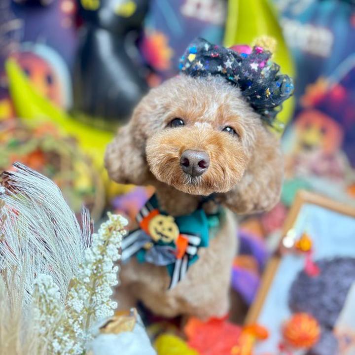 5988511e 38df 403f ba44 97f1e6883a22 1761866005349