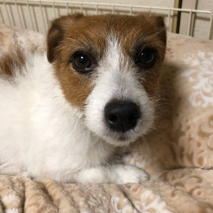 5988e7c6 4623 4fda 963f b518494c4662 1549807715483