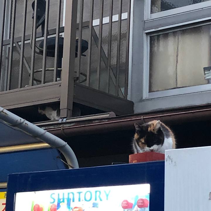 59890d87 b0d6 4329 8d53 39264caced6c 1556482487620