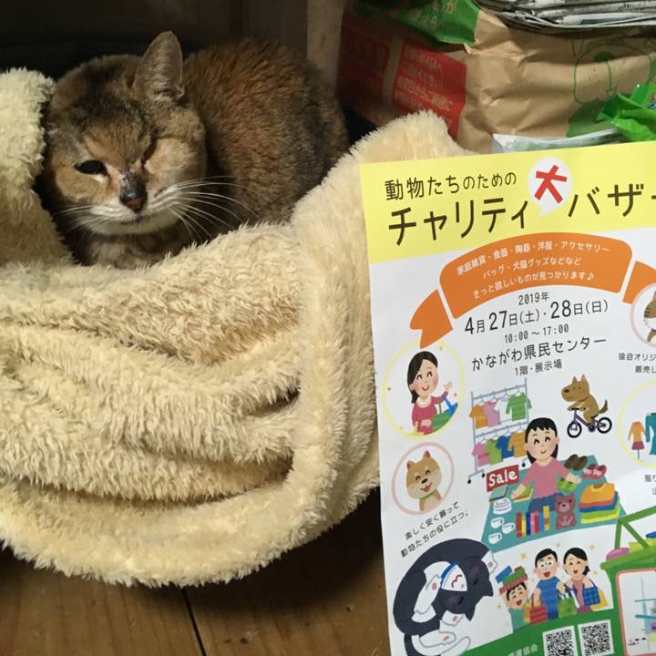 59890fd2 9ac5 4283 9910 5b5a9b099fbf 1554713816036