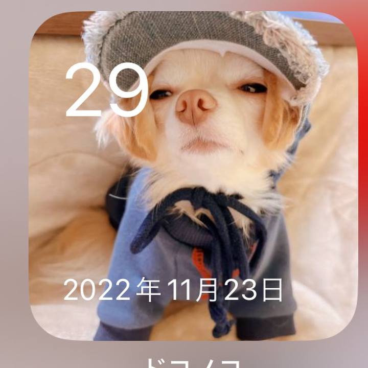 59891026 1216 486d bf39 d06b47185438 1701262144368