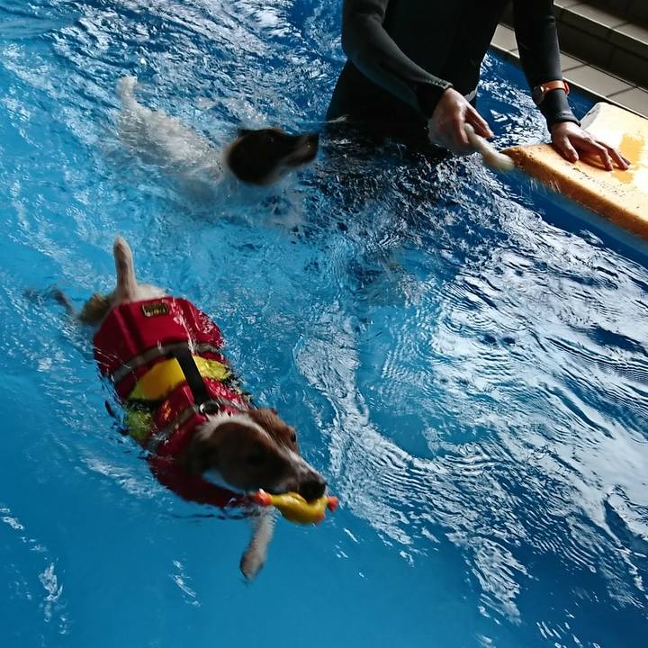 59894544 8555 4a72 8619 12ff5e2af8c6 1529472957568