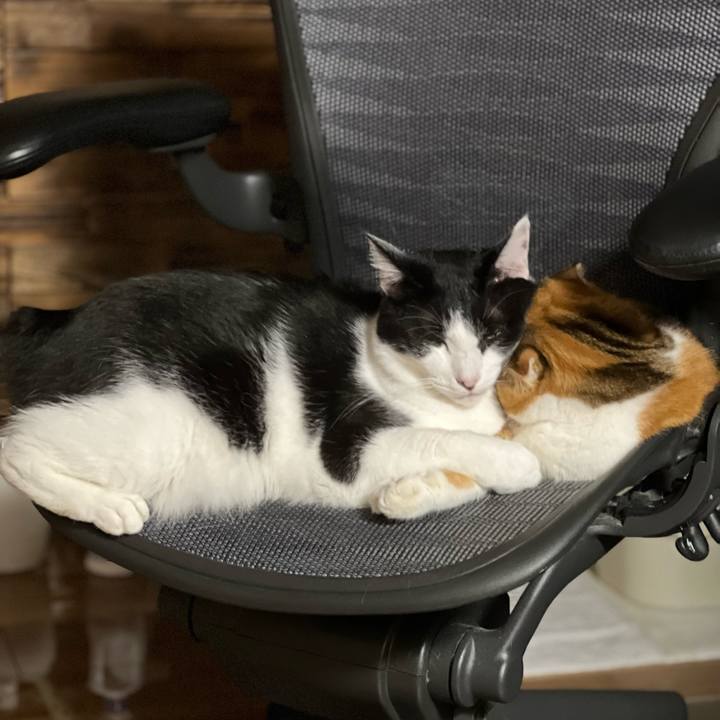 598963ba 589d 4afa bf37 9def5a06d96d 1699281807604