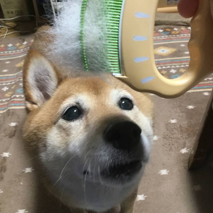 5989adc8 4183 42aa b23d 1d97d0b19cc5 1561713536323