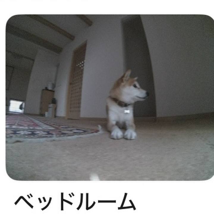 5989b9c0 f68a 48bb 9ea1 3512d563dbd7 1740295431167