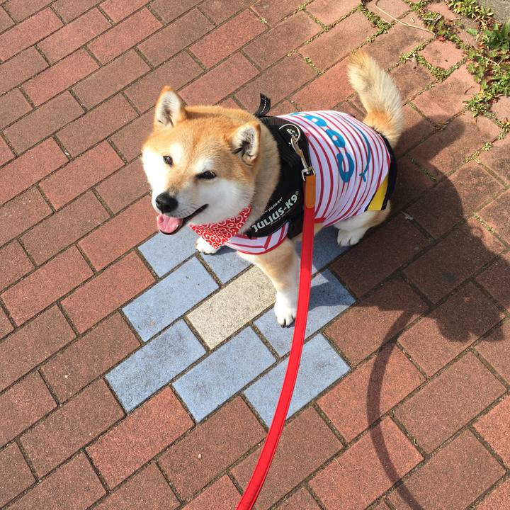 5989d433 47bc 46ec a95a 4a3c9a48e617 1582952183560