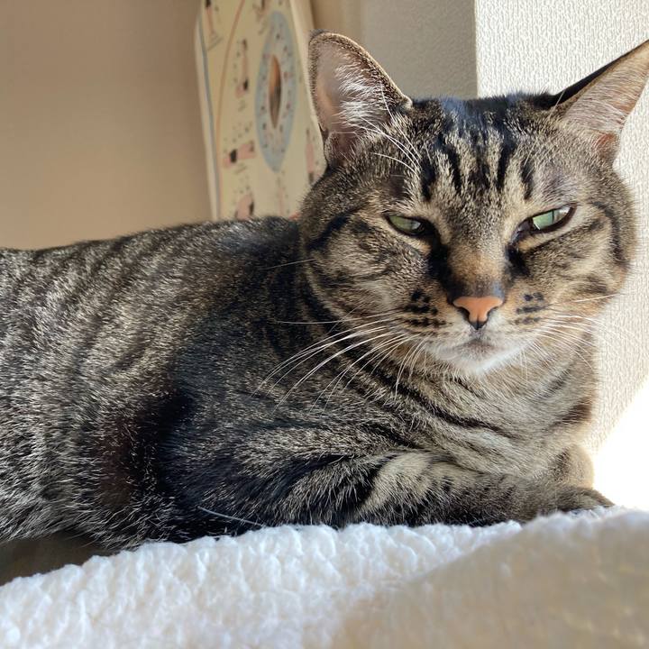 5989e7e5 ac2a 428e 82e2 ebbb61e59762 1645403704904