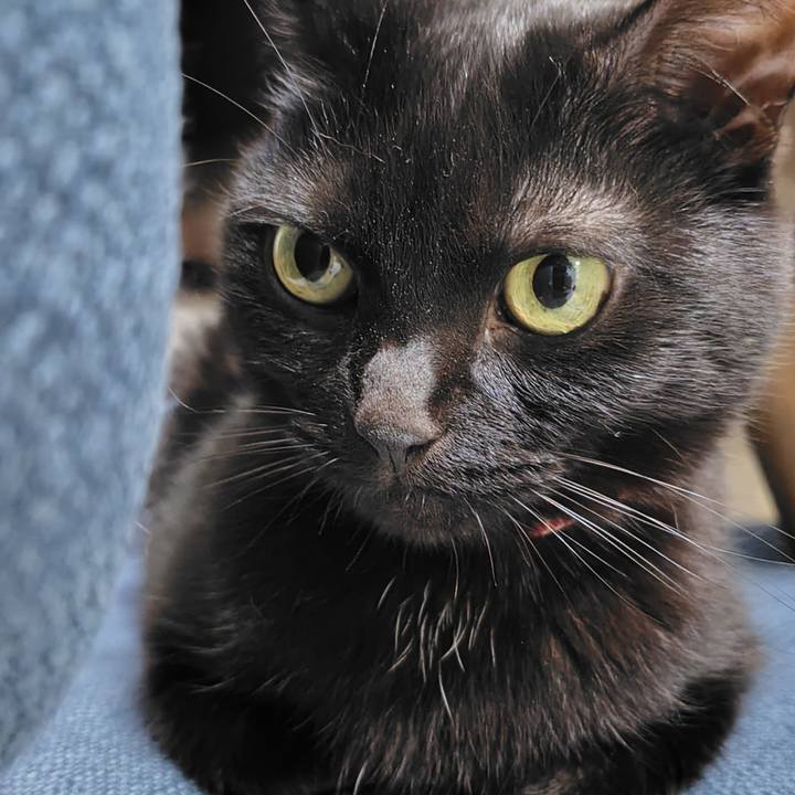 598a157f 9ff7 4141 af96 e01ea3f4739a 1748430880676