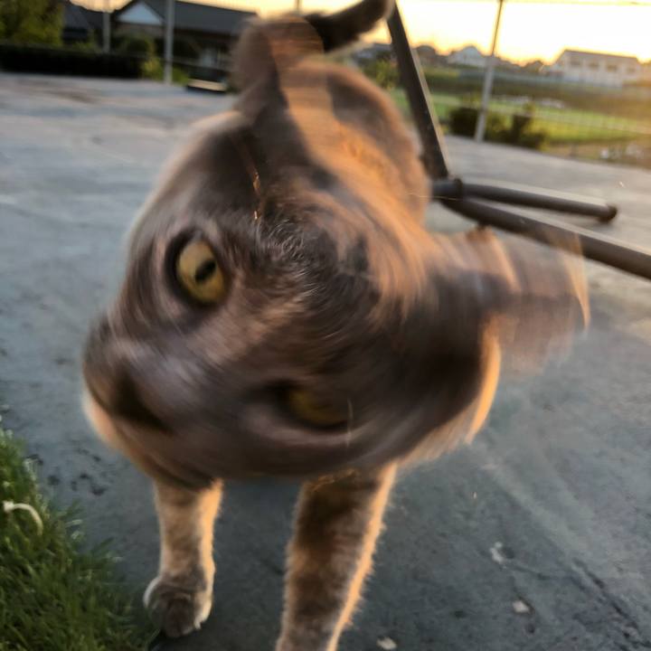 598a3dc5 ae29 4a15 8d2c f8c43dce3c51 1596227338952