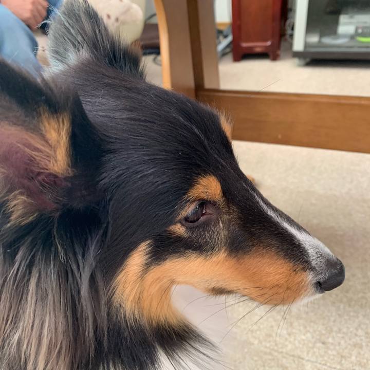 598a5572 de51 491a 8570 c73f24f8bd9a 1573858084114