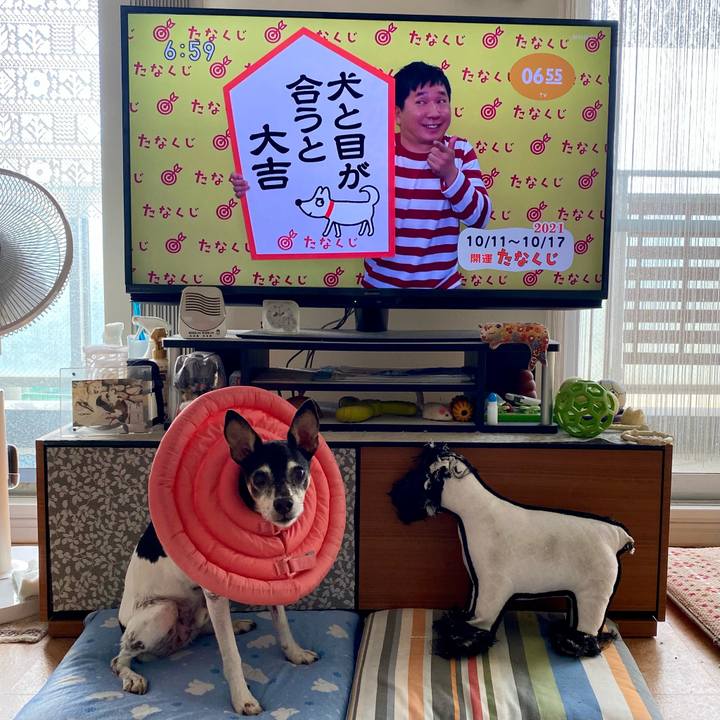 598a94c8 ac8e 485b b730 398b2e319abc 1633904194797