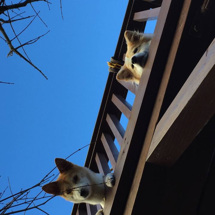 598ab3f7 f310 4de7 81a3 c02daa28f514 1511873654043