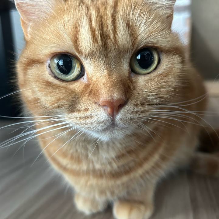 598b1a46 02c2 4be1 a6e4 5b819dfbdb53 1725345452830