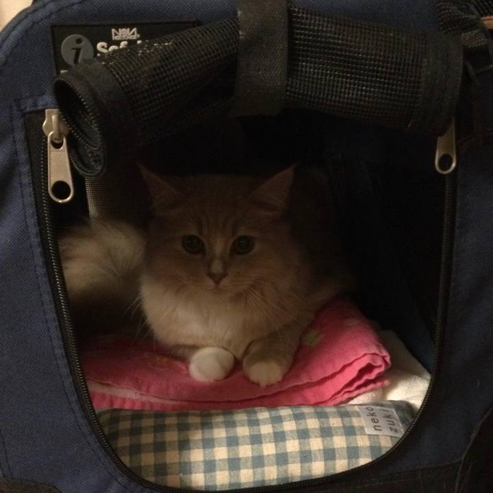 598b3eeb b125 498e 848f 62d0104f1f72 1610027712066