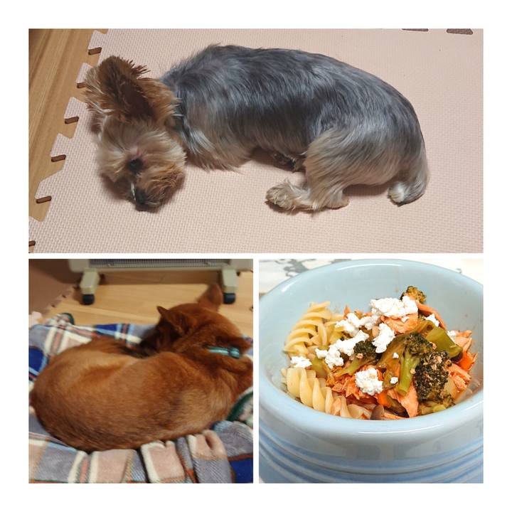 598b60e5 7c76 46b8 9588 015fbdf166e9 1572905778494