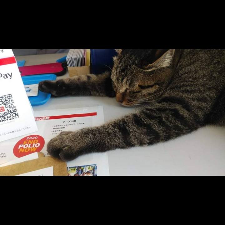 598b82e9 dd83 4df9 94e9 9be79482c357 1633652633417